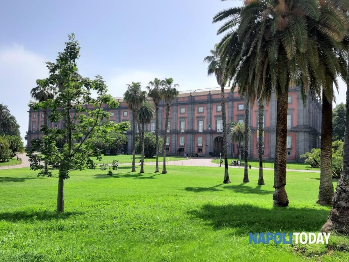 La Casita Nel Bosco Apartment Naples Exterior photo
